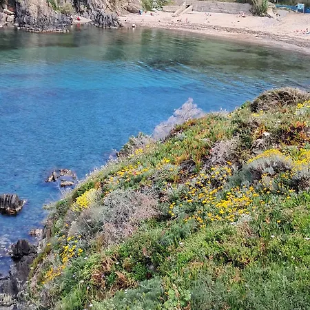 Апартаменты Detente Animations