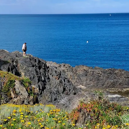 Detente Animations Апартаменты