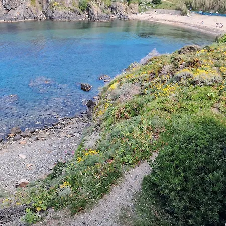 Détente Animations Appartamento Collioure
