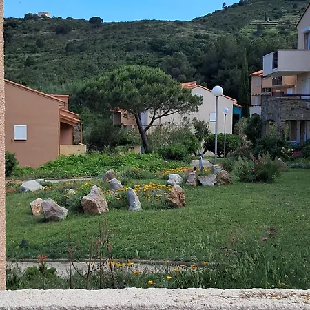 Daire Detente Animations *